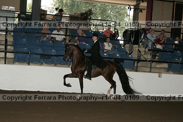 Proof Number r14-04_0109